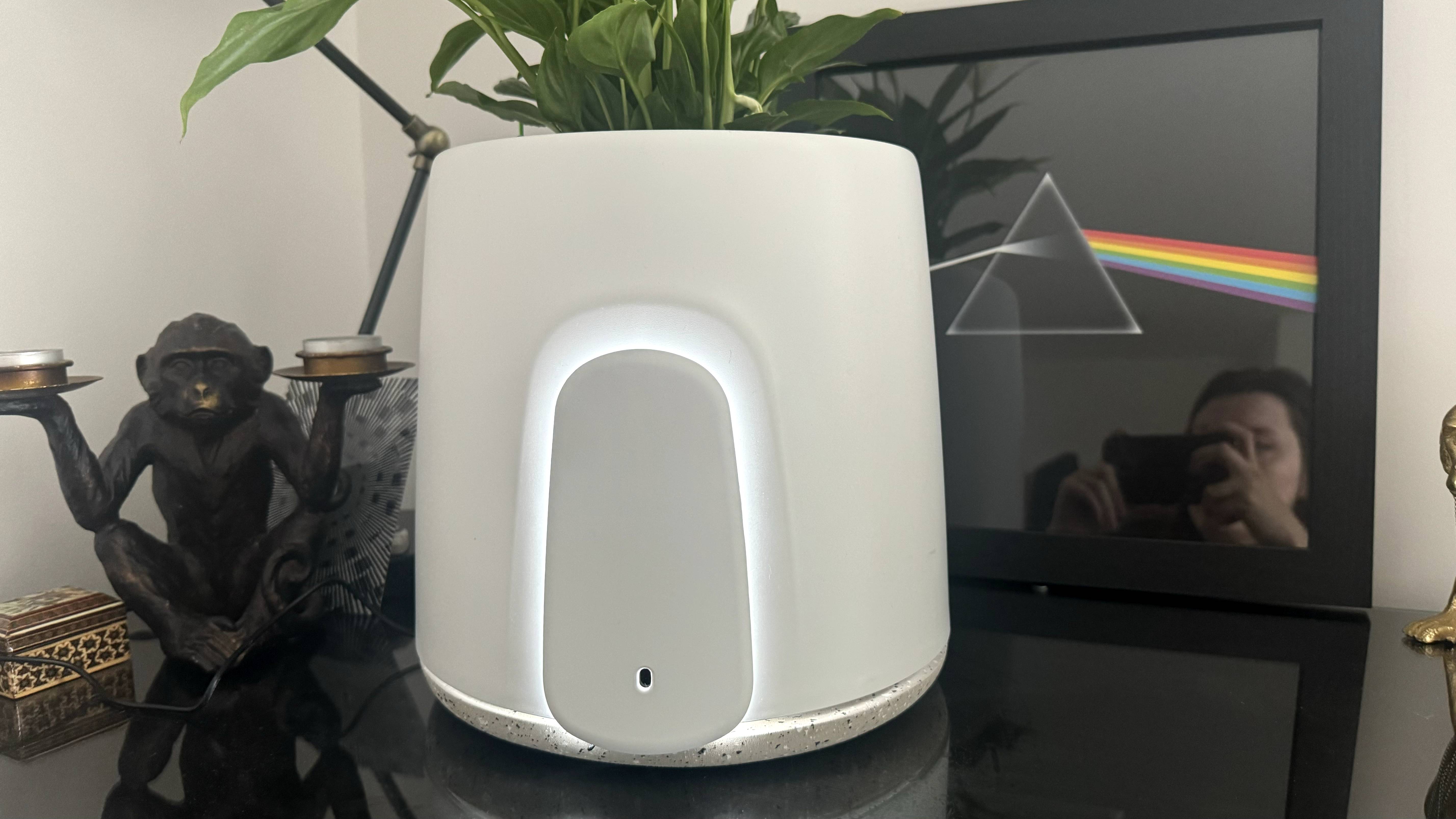 Close-up of Vitesy Natede smart plant purifier